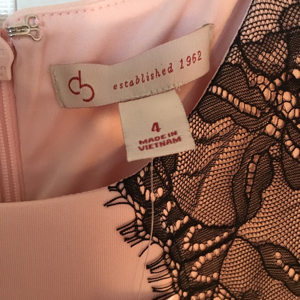 WHBM Sleeveless Blush Pink Lace-Trim Fit & Flare Bodycon Dress Sz 4 - Picture 2 of 4